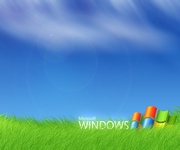 pic for microsoft windows 